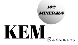 transparent logo